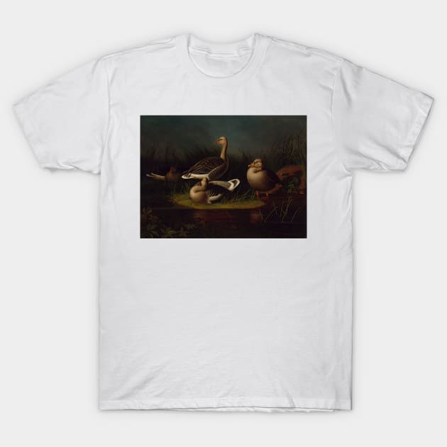 Greylag Geese, Copy After Ferdinand Von Wright by Magnus von Wright T-Shirt by Classic Art Stall